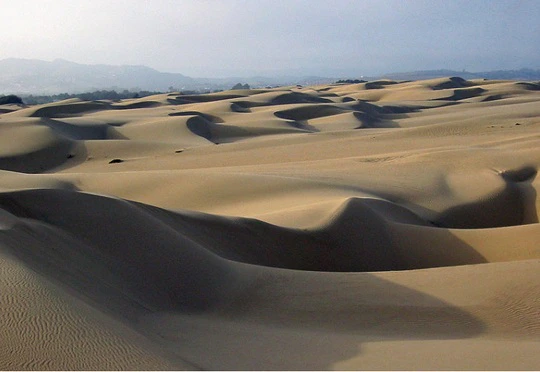 Deserts and Dunes 101 – Plus hidden coves and beaches in Cape Town