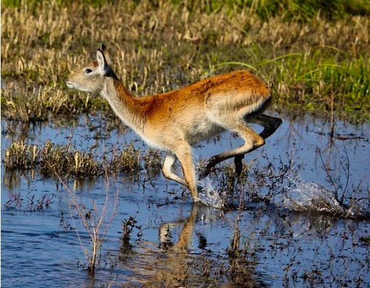 10 tips for taking better action photos