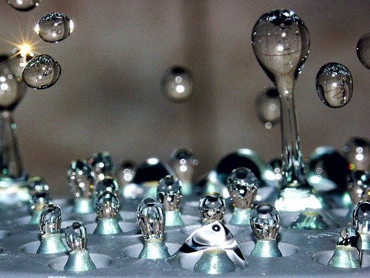 Water droplets. By wester (Flickr)