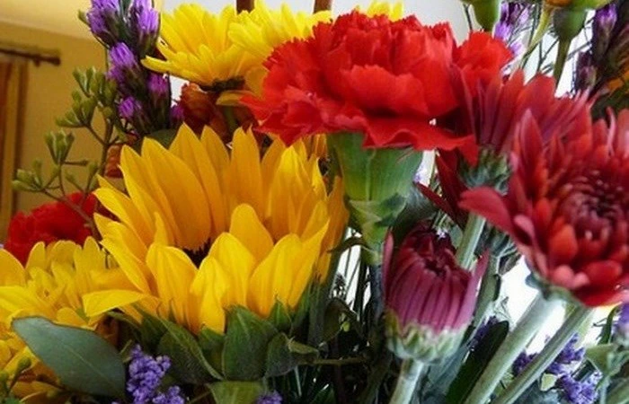 Fifteen Romantic Things to Do – that won’t cost a fortune