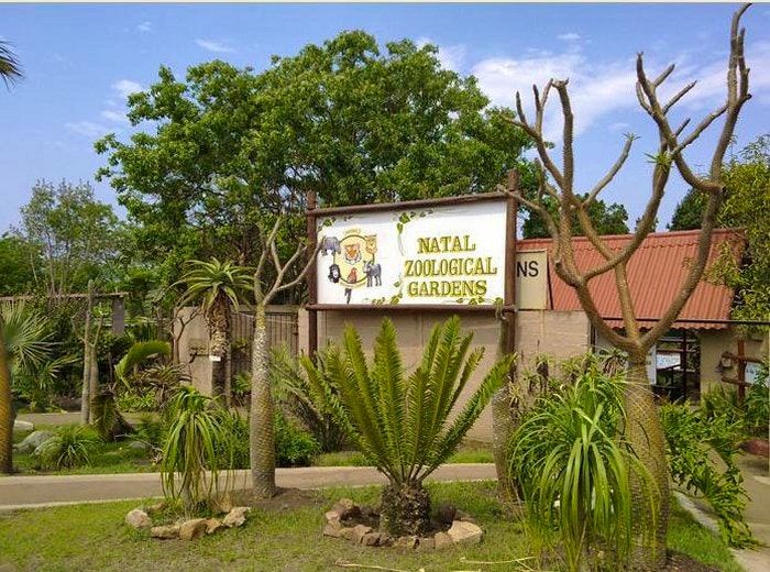 Natal Zoological Gardens (C) Nat Zoo