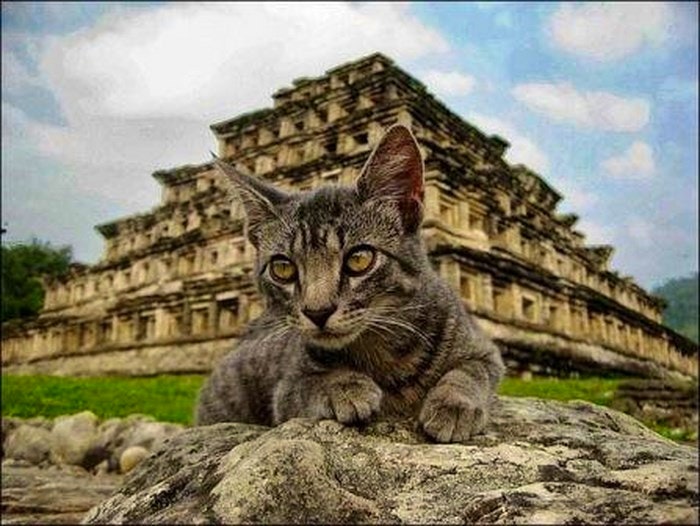 A photo of Kitty in front of one of the Mayan temples.