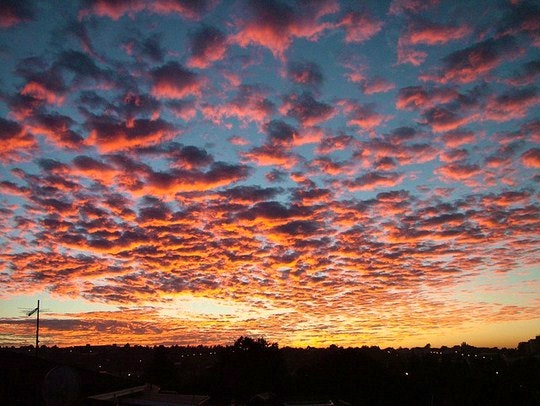 A Morning to Spare in Johannesburg