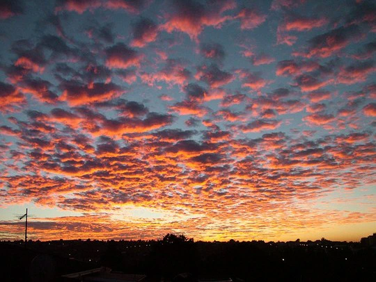 A Morning to Spare in Johannesburg