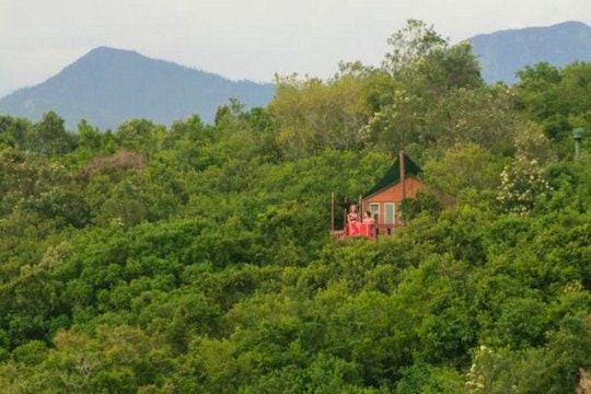 Nestled in the green treetop canopy, is where you'll find Teniqua Treetops cabins.