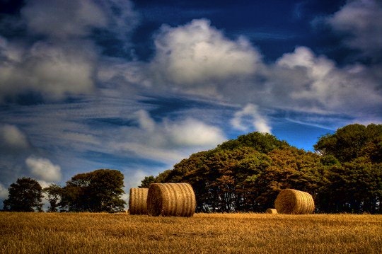 Hay bales and soft hues mark the farmland after the harvest.