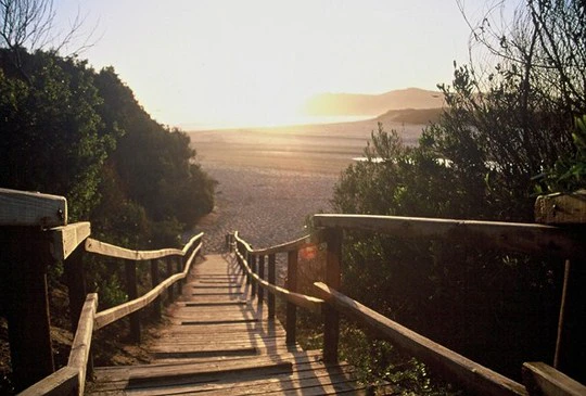 Living the slow life in Sedgefield