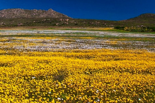 The Top 3 West Coast Attractions