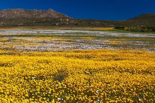 The Top 3 West Coast Attractions