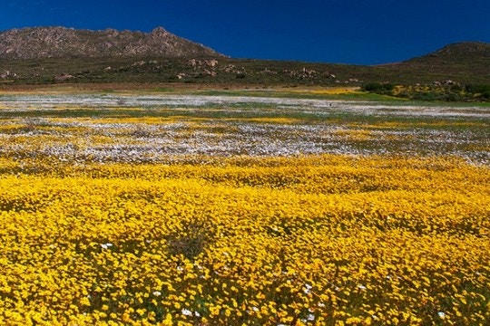 The Top 3 West Coast Attractions