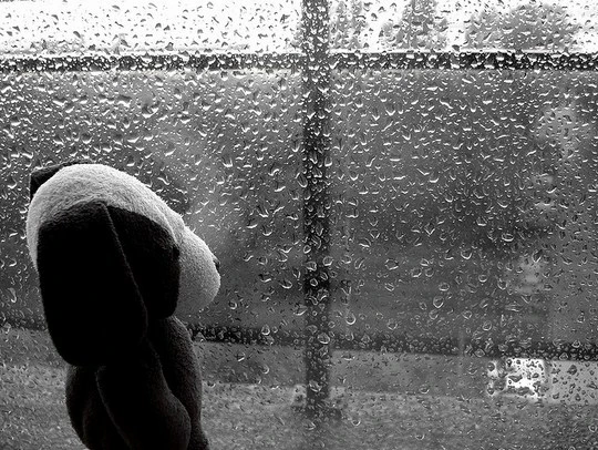 5 Chilly Winter Facts