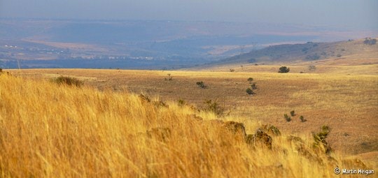 Cradle of Humankind