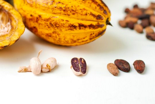 Fresh Cacao and its seeds. By EverJean (Flickr)