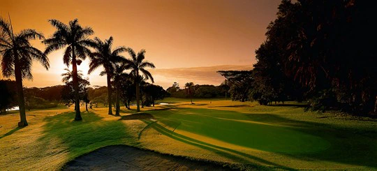 Men are for Greens, Women are for Spas