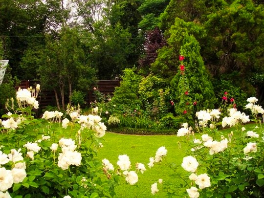 Peaceful Pretoria Havens