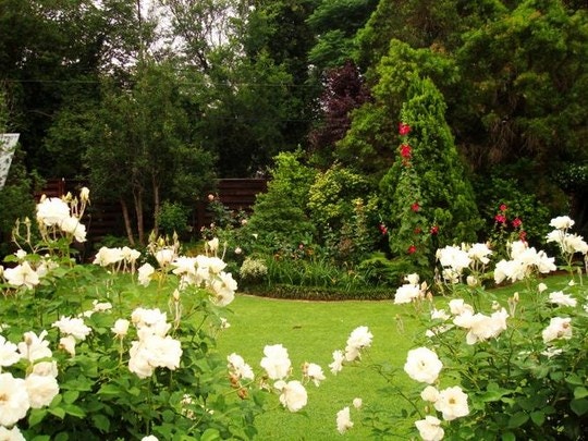 Peaceful Pretoria Havens