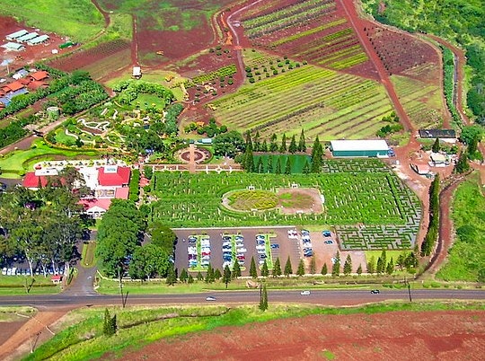 An aerial view of the Pineapple Maze. By ErgoSum88 (Creative Commons)