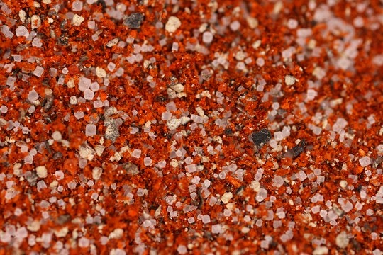 A close-up look at a spice rub. By quinn.anya (Flickr)
