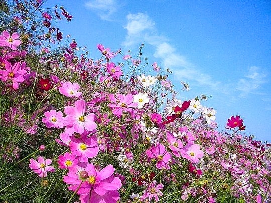 Culture and Outdoor Fun in Clarens