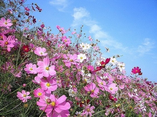 Culture and Outdoor Fun in Clarens