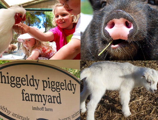 Higgledy Piggledy Farm (Website)