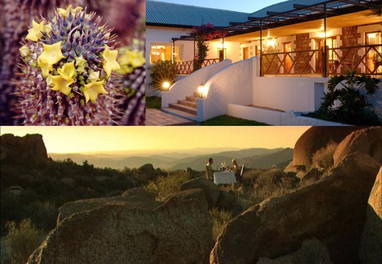 Springbok’s Naries Namakwa Retreat