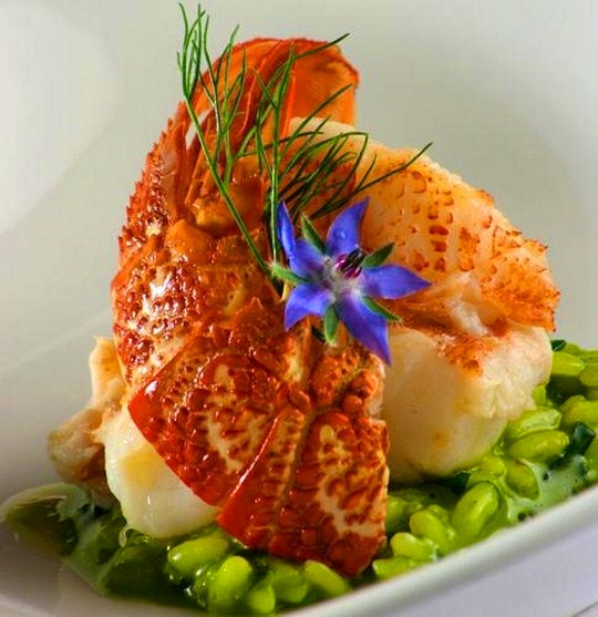 Christmas Dining in the Cape