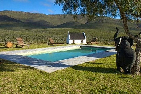 Fun-tastic Holiday Activities for the whole Family at African Game Lodge