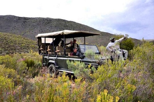 Game Drives (TG Website)