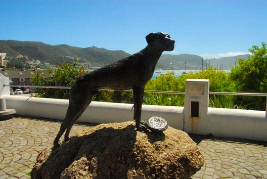 Tourist Activities in Cape Town that won’t cost a thing