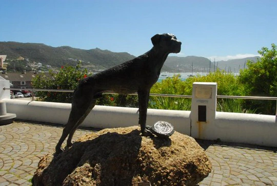 Tourist Activities in Cape Town that won’t cost a thing