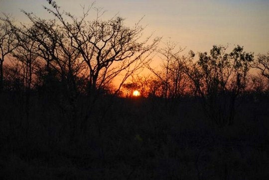 Experience True Africa at Royale Marlothi