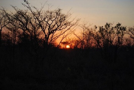 Experience True Africa at Royale Marlothi