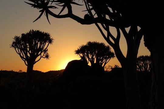5 Secret Spots in the Northern Cape