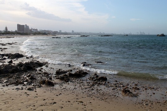 Your Holiday Guide to Port Elizabeth