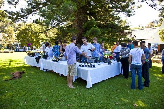 Constantia Fresh Festival