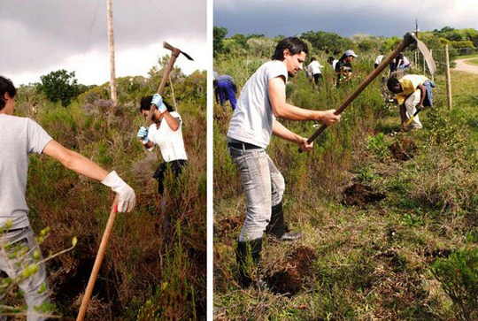 Free Feel Good Activities in Cape Town