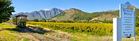 Franschhoek Wine Tram
