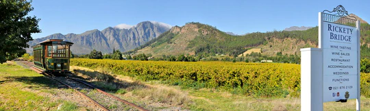 Franschhoek Wine Tram