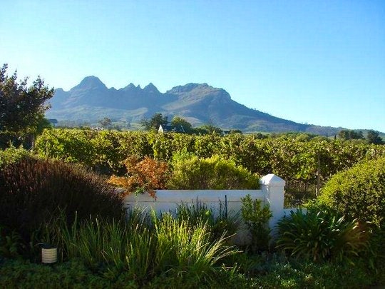 Your Holiday Guide to Stellenbosch