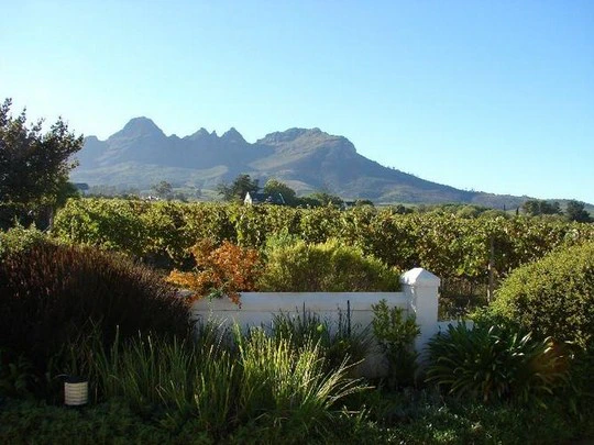 Your Holiday Guide to Stellenbosch