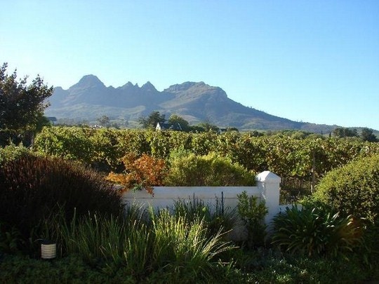 Your Holiday Guide to Stellenbosch