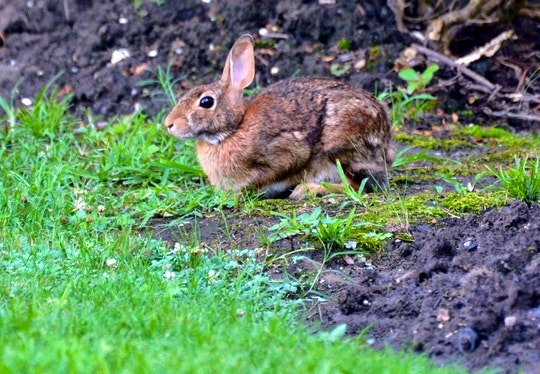 3 Easter Weekend Escapes near Cape Town