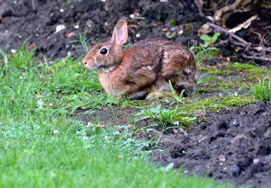 3 Easter Weekend Escapes near Cape Town