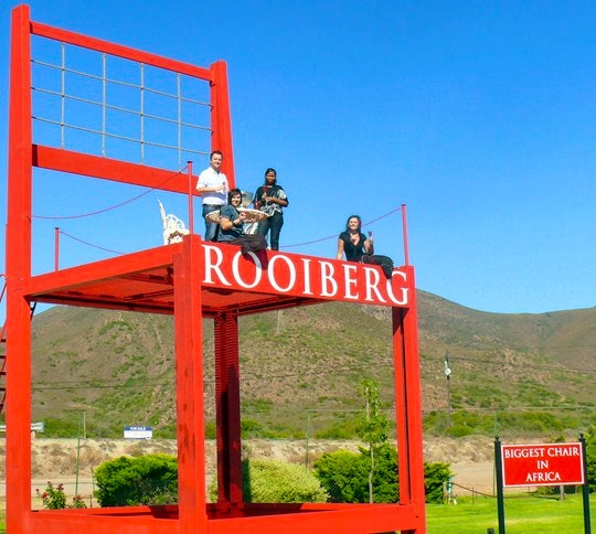 Africa’s Biggest Chair Launches at Rooiberg Winery