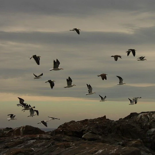 3 Gems of the West Coast