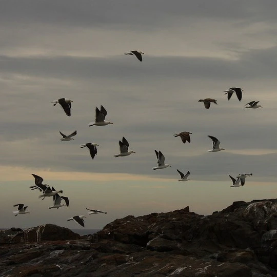 3 Gems of the West Coast