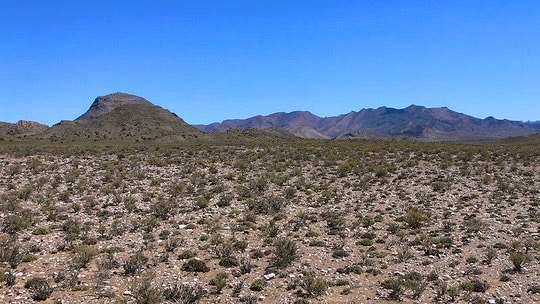 Within the Anysberg Nature Reserve, Karoo. By  Winfried Bruenken (Creative Commons)