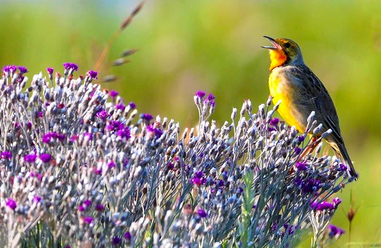 A 24-hour guide to the Free State