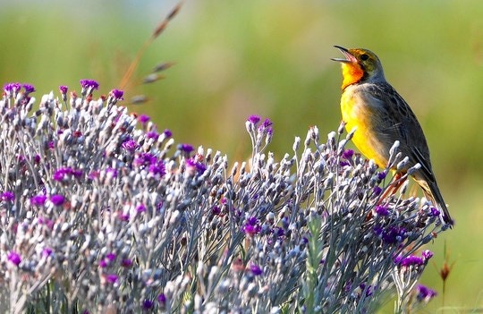 A 24-hour guide to the Free State